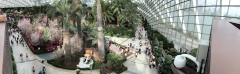IMG_0471_pano_flower dome